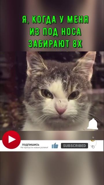 PUBG: С кем ни бывает...