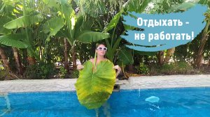 Живность нашего отеля /100% отдых /Аквапарк/Турция 2025