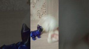 опасный лес(1 серия) НЕ КОПИРКА