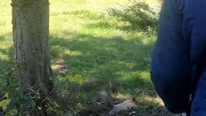 Встреча с подписчицей.# Гуляем в Дендрарии,#Посещаем храм.