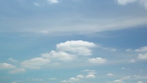 Оптимус 7 - Выбери жизнь