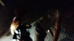 хелоуинская ночь.