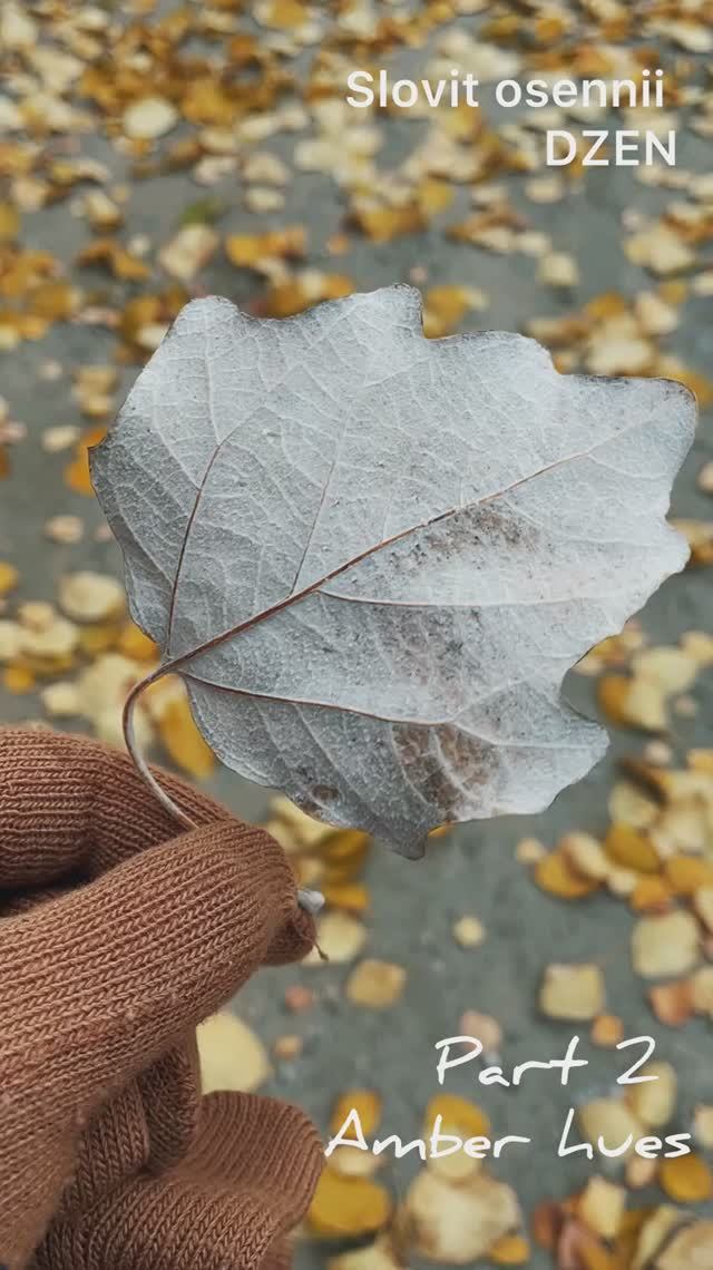 Цвета осени