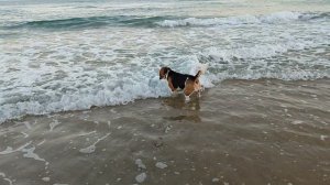 Я моряк и всё ништяк!