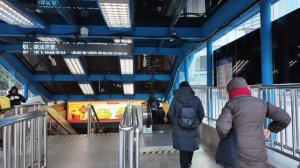 🚇 Шанхай 2025: сумасшедшее метро и тихий сад Юйюань! 🏯