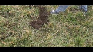 #ДВОЕ С ЛОПАТОЙ#12