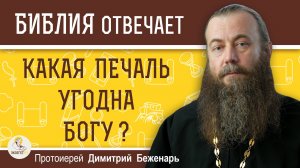 Какая ПЕЧАЛЬ угодна Богу ?  Протоиерей Димитрий Беженарь