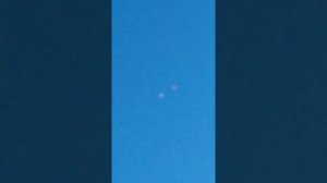 Голуби Озинки #1