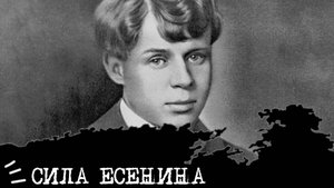 СИЛА Есенина (ИЭИ, INFP)