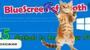 делаем космический корабль ʘ‿ʘ