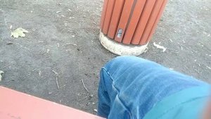 Следим за стешой 2 часть.  -4 видео