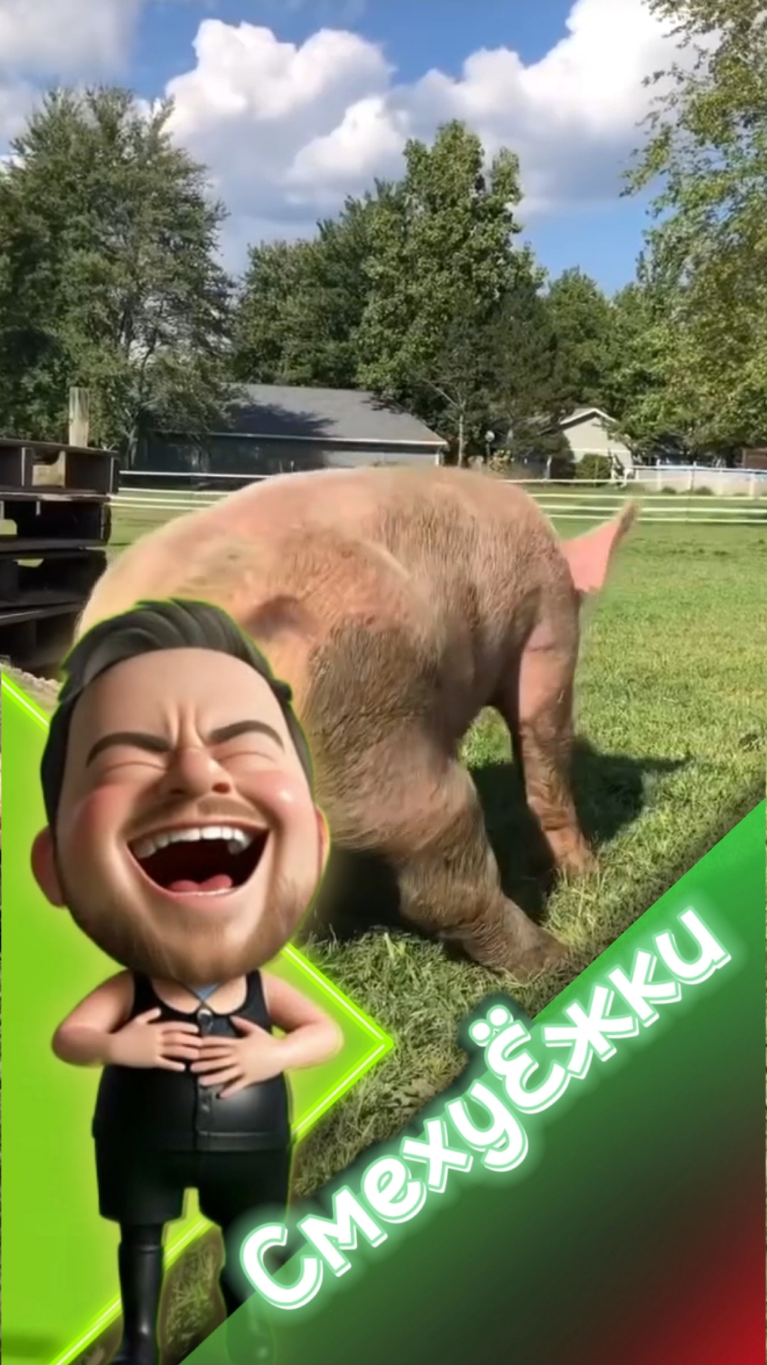 Щекатряс Come on, move your butt #смехуёжки #юмор #ржака #humor #jfpro #умора