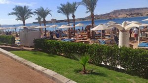 ЕГИПЕТ-2025-ШАРМ. #48 - И снова уезжаем из зимнего НАБКА в летнюю ХАДАБУ  на ДИКИЙ ПЛЯЖ. ДЕНЬ 11