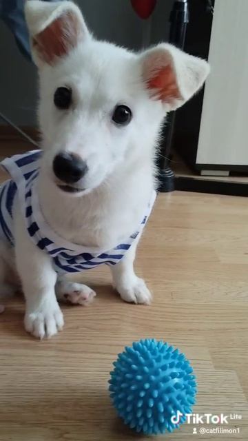 547a1dcf-bdd2-4e42-a2c3-9c21490f5edf-watermark 4.mp4