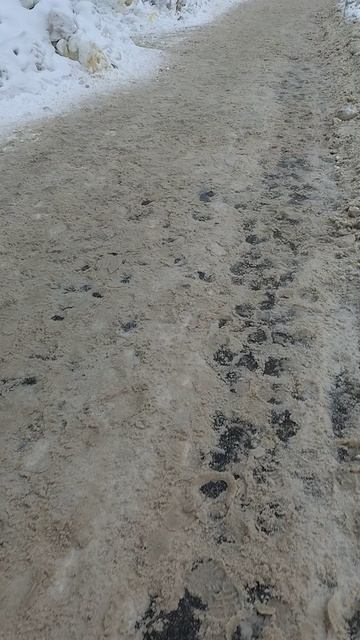 №184. ул. Полины Осипенко. 1 марта 2025 г., 11:02:46. VID_20250301_110112128