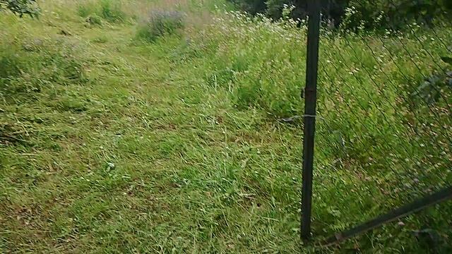 09-07-2025 Покос травы ручной косой и бензо триммером смотреть онлайн