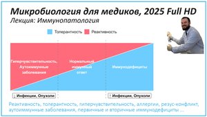 Иммунопатология