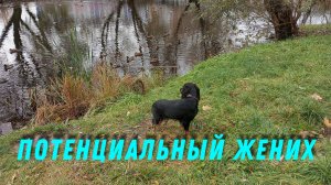 Потенциальный жених 😉