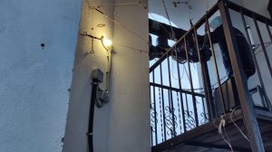 Колокольный звон перед Всенощным бдением. Канун Иверской иконы. Неделя 20-я по Пятидесятнице