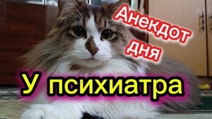 Кошки с озвучкой.