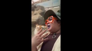 Пак 040 (приколы, мемы, смешные видео)