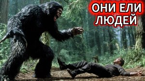 80 лет МОЛЧАНИЯ. Хутор ЛЮДОЕДОВ в тайге! Ты НЕ ПОВЕРИШЬ, что мы нашли.