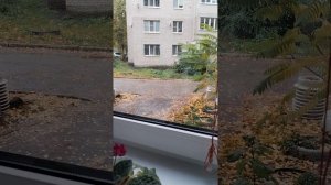 Приучаю мозг не думать о еде больше нужного