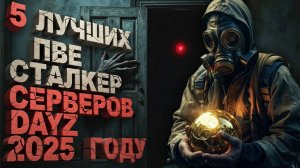 5 ЛУЧШИХ СТАЛКЕР СЕРВЕРОВ DAYZ В 2025 ГОДУ