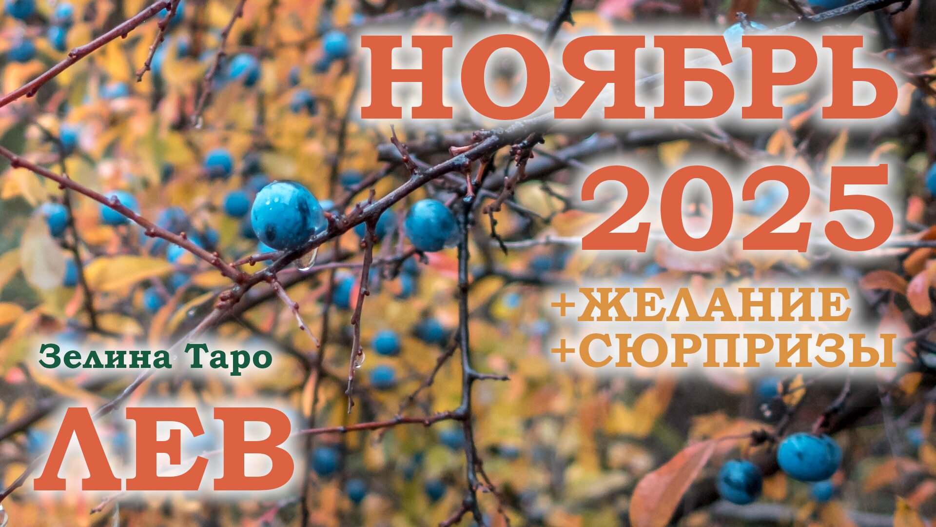 ЛЕВ | ТАРО прогноз на НОЯБРЬ 2025 года | Желание | Сюрпризы | Расклад таро