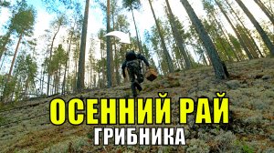 Грибник перешел БОЛОТО зашел в МОХ и СТАЛ ЗАИКАТЬСЯ! Один в лесу ТАКОГО НЕ ОЖИДАЛ! Грибы 2025