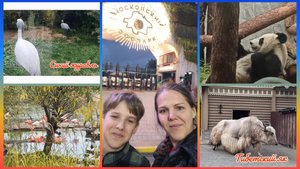 Из Тверской деревни в Московский зоопарк