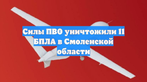 Силы ПВО уничтожили 11 БПЛА в Смоленской области