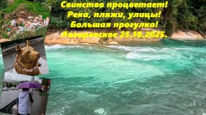 Свинство процветает! Река, пляжи, Улицы!! Лазаревское 25.10.2025.