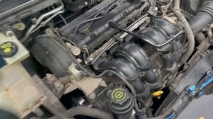 GB5100 Ford Focus 2   2005