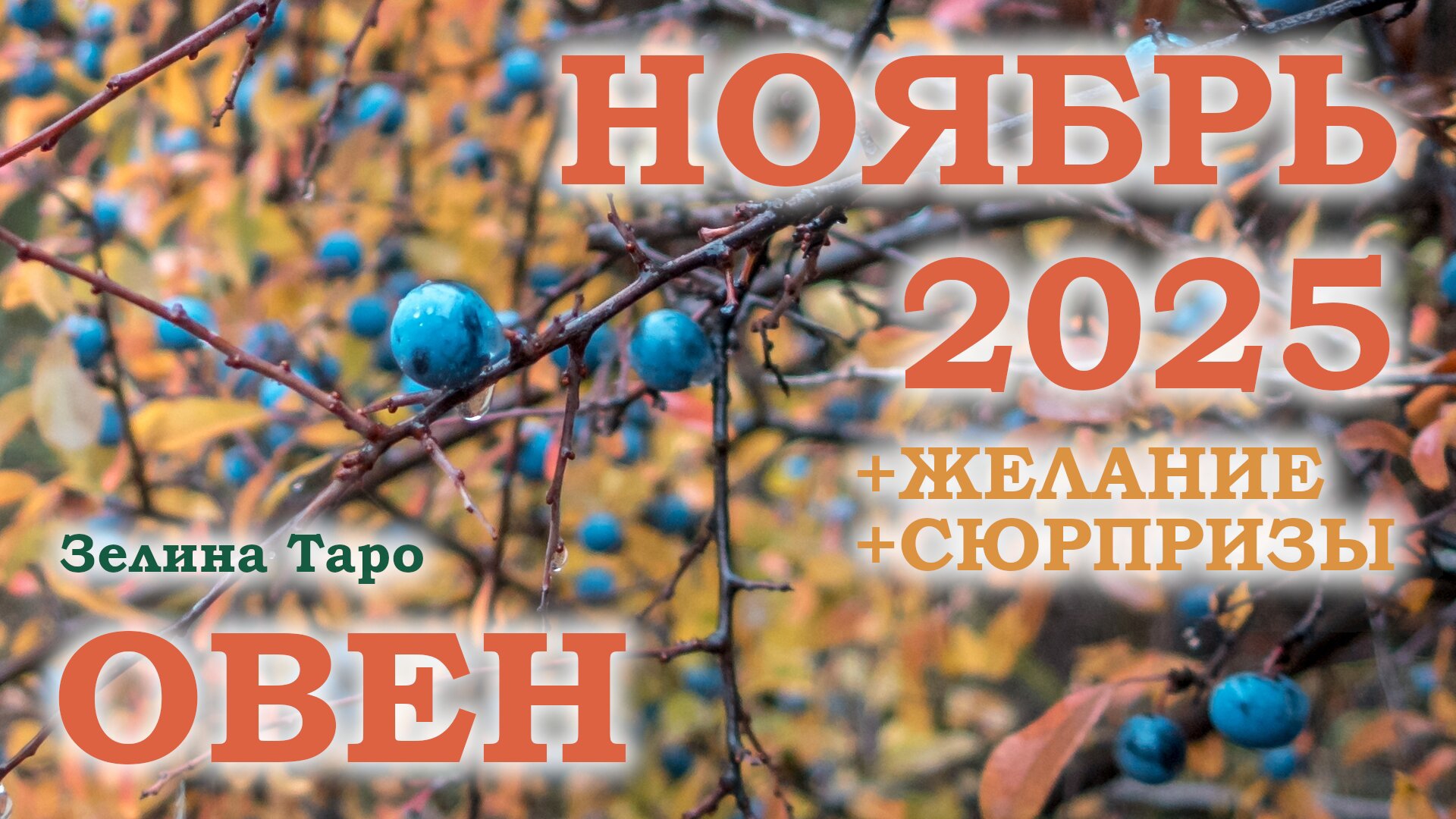 ОВЕН | ТАРО прогноз на НОЯБРЬ 2025 года | Желание | Сюрпризы | Расклад таро