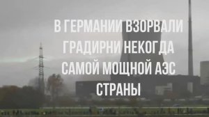 А если считать в литовских попугаях?
