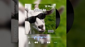 Tyrolák (Techno-Yodel Remix)( DJ SkorpionJasod ) #музыка #песня #любовь #джасод #topc