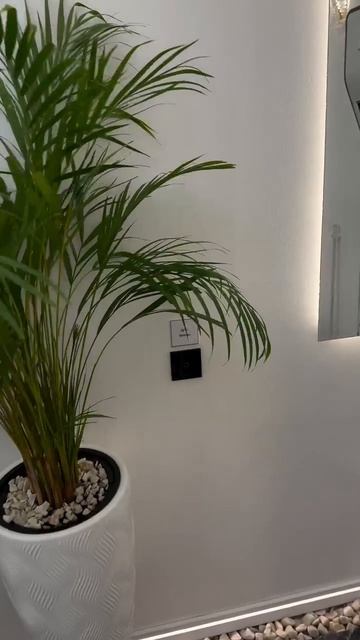 Общественный туалет в Шымкенте