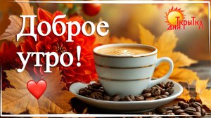 Доброе утро! Пусть день будет светлым и радостным | Видео-открытка с теплом