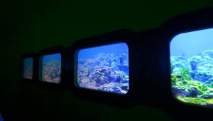 Батискаф, виртуальное погружение, о. Байкал