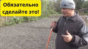 Одеяло из иголок: Как полчаса осенью избавляют от весенней прополки, засухи и грызунов.