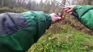 р. Кемка. Щука на силикон.