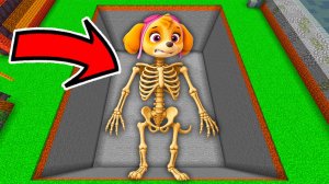 Я нашел СКЕЛЕТ СКАЙ ЩЕНЯЧИЙ ПАТРУЛЬ в МАЙНКРАФТЕ