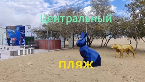 Анапа 25.10.2025 про Центральный пляж
