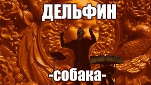 Дельфин - Собака (self-made клип)