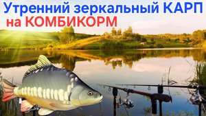 🔥Зеркальные КАРПИКИ по "утрянке"⚡️ на КОМБИ КОРМОВЫЙ прикорм 🔥 рыбачим на "платнике" Осенью-2025