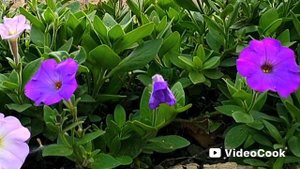 🍁 Осенний уют своими руками и сердцем ♥️)))