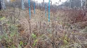 Переезд в деревню и небольшие пошивушки🍁