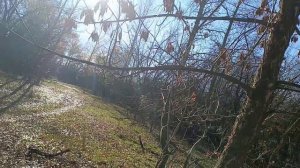 USDX и поездка в Енотаевский район Астраханской области