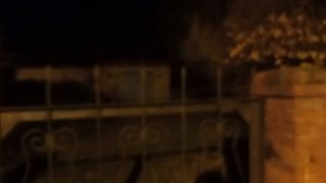 стало немного светлее